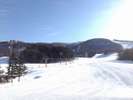 シルキースノーと呼ばれる最高の雪質。