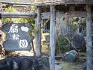 庭園3