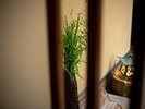 【新館玄関】