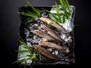 【天然鮎】矢田川で釣った天然鮎は新鮮で美味!