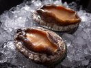 【鮑】香住産の養殖鮑は絶品です