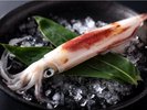 【朝獲れイカ】コリコリ食感の白イカの旨味を味わう