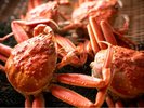 【セコ蟹】セコ蟹は、濃厚な内子とプチプチの外子を味わってください。