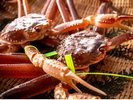 【活松葉蟹】11月〜3月の限られた時期にだけ食せる贅の極みを是非ご堪能ください。