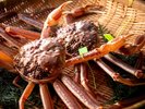 【活松葉蟹】11月〜3月の限られた時期にだけ食せる贅の極みを是非ご堪能ください。