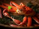 【活松葉蟹】蟹好きの方が一番好きな食べ方。本物の味を体感できる、茹で蟹の旨さ。