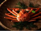 【活松葉蟹】蟹好きの方が一番好きな食べ方。本物の味を体感できる、茹で蟹の旨さ。