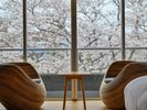 芙蓉の間/温泉付き和洋室/5室あり部屋割はランダム。部屋指定はご連絡下さい。