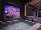 桜並木を望む、春彩る特別な客室。「木蓮」