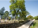 【人吉城跡】本丸や二の丸などの跡が残る敷地内を当時の様子を想像しながら回るのもおすすめです。