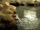 源泉掛け流しの天然温泉
