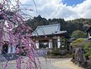 永国寺