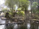 中庭