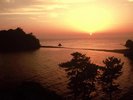 客室からの眺望