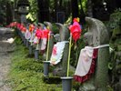 湖東三山 金剛輪寺までは、車で約45分