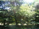 �`�_�u���x�b�g����̊O�̌i�F