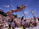 【行事】秋の大祭長崎くんち!一番人気の 龍踊り☆
