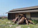 瀬戸内国際芸術祭作品 『ヒトクサヤドカリ』@三都半島