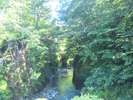 登別川水系千歳川の清流。せせらぎが涼をよんでまいります。