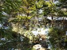 露天風呂周辺