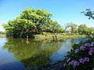 お堀端(春イメージ)