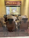 観光スポット:アメリカンビレッジ伊香保アメリカの雰囲気を感じられます。