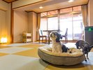 伊香保DOGきむら 客室イメージ