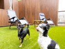 伊香保DOGきむら プライベートドックラン