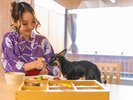 ワンちゃん部屋 お食事イメージ