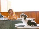 ワンちゃん部屋 露天風呂イメージ