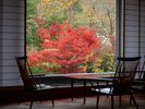 日本庭園・紅葉
