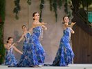 ポリネシアン・サンライトカーニバル(昼のショー 指定席・自由席)