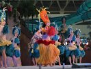 ポリネシアン・サンライトカーニバル(昼のショー 指定席・自由席)