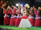 ポリネシアン・グランドステージ(夜のショー 指定席のみ)