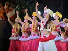 ポリネシアン・グランドステージ(夜のショー 指定席のみ)