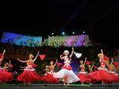 ポリネシアン・グランドステージ(夜のショー 指定席のみ)