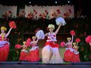 ポリネシアン・グランドステージ(夜のショー 指定席のみ)