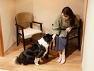 【半露天風呂付きツインベッド】愛犬とのプライベートな旅時間を充実させたい方におすすめです(一例)
