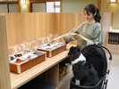 【ワンちゃん用ビュッフェ】ワンちゃんと一緒にお食事をお選びいただけます。(一例)