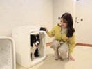 【トリミングルーム】獣医師との共同開発を経て誕生したペット専用のドライルーム(一例)