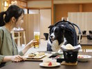 【レストラン】ワンちゃん同伴OK!ごゆっくりとお過ごしいただけます(一例)