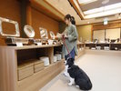 【レストラン】ワンちゃんとご一緒にお食事を楽しめます(一例)