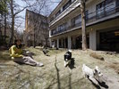 【中庭ドッグラン】四季折々の美しい風景の中で、自由に駆け回ることができます(一例)