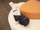 【愛犬用作務衣】当館のロゴが入ったオリジナルデザインとなっております(一例)