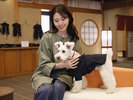【愛犬用作務衣】愛犬と作務衣で温泉気分を満喫♪(一例)