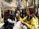 【中庭ドッグラン】ロビーから見渡せる中庭にドッグランをご用意いたしております。(一例)
