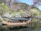 【EDO WONDERLAND 日光江戸村】江戸の町を1日散策すれば、さまざまな物語に遭遇する特別な旅体験に(一例)