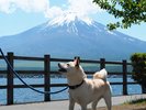 【湯ノ湖】湖岸には散策路があり1時間ほどで一周できます。ワンちゃんとのお散歩にもピッタリです♪