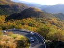 【いろは坂】道中のいろは坂も四季折々の風景を楽しむことができます(一例)