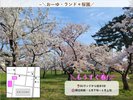 �y�����z�z�e���̕~�n���̍����ł��B���ٓ����Q�ł��Ԍ����y���߂܂�